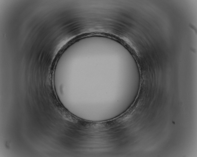 X0000092010879200709061307