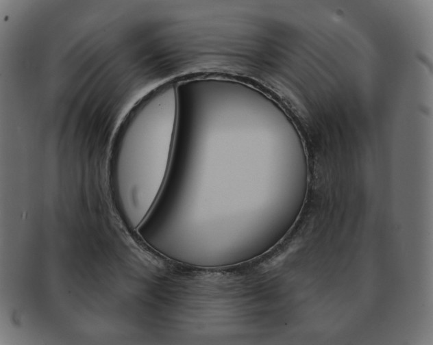 X0000092010880200709061307