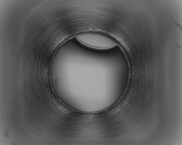 X0000092010881200709061307