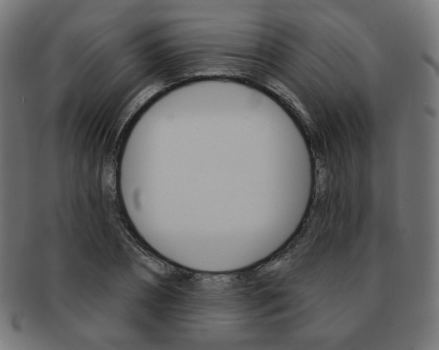 X0000092010882200709061307
