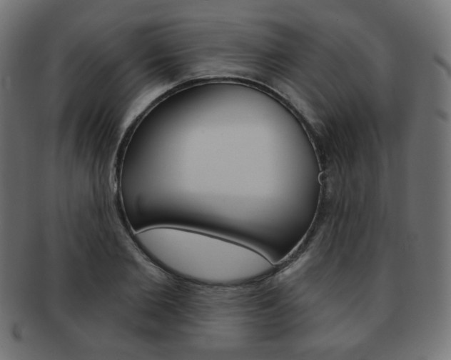 X0000092010885200709061307