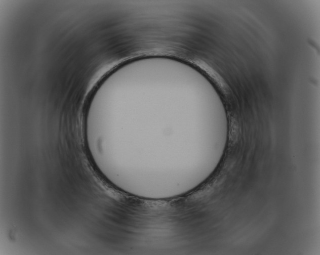 X0000092010886200709061307