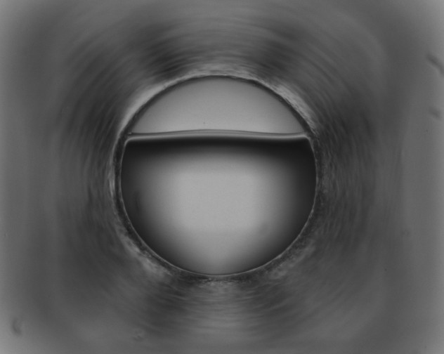 X0000092010888200709061307