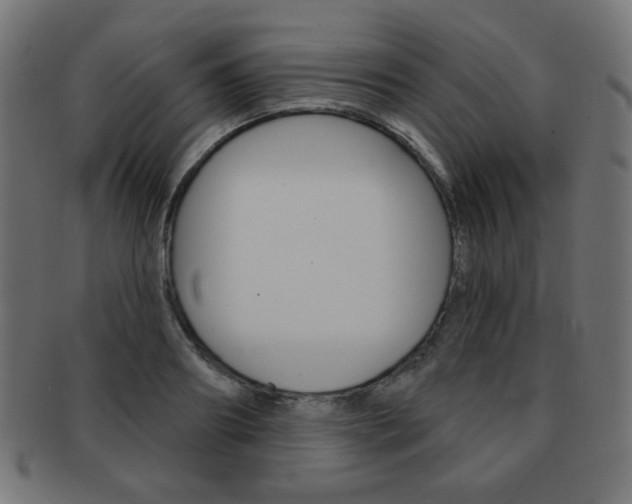 X0000092010890200709061307