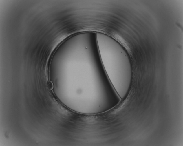 X0000092010892200709061307