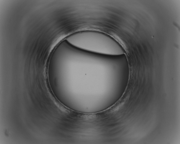 X0000092010893200709061307