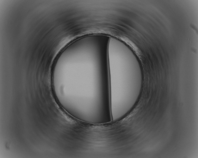 X0000092010894200709061307