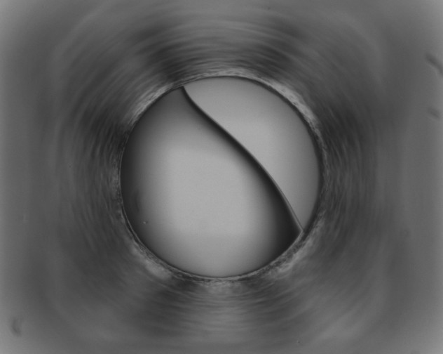 X0000092010897200709061306