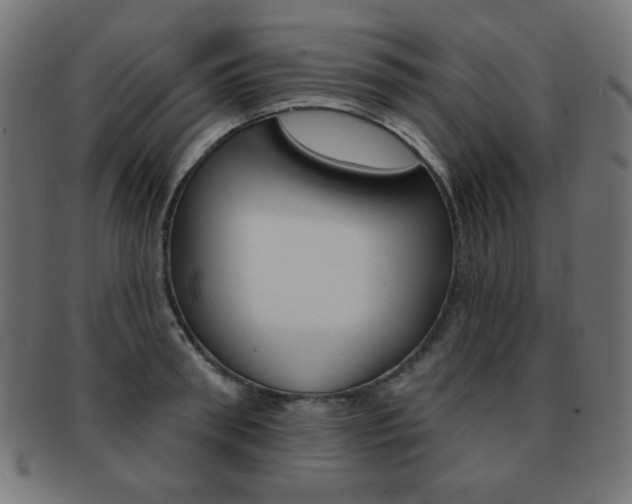 X0000092010898200709061306