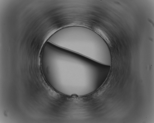 X0000092010900200709061306