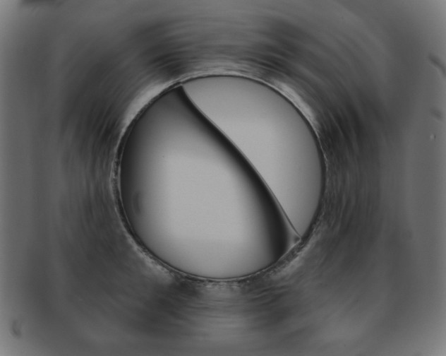 X0000092010901200709061306