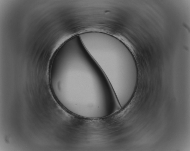 X0000092010902200709061306