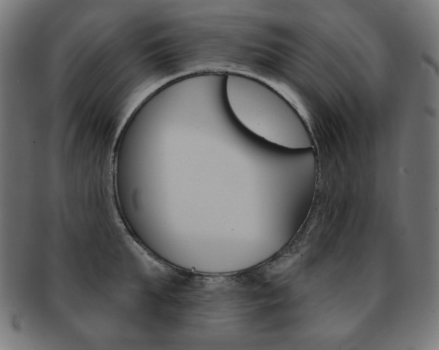 X0000092010903200709061306