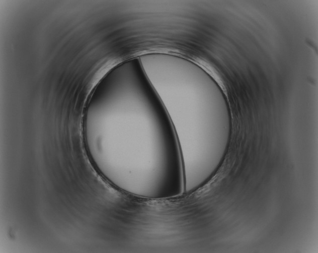 X0000092010906200709061306