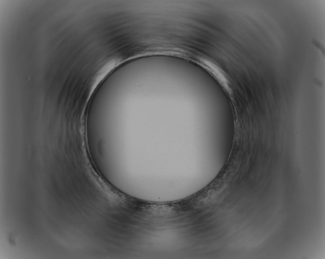 X0000092010907200709061306