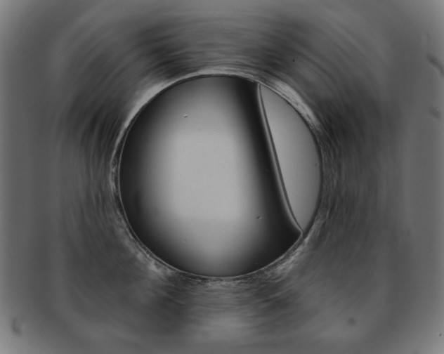X0000092010908200709061306