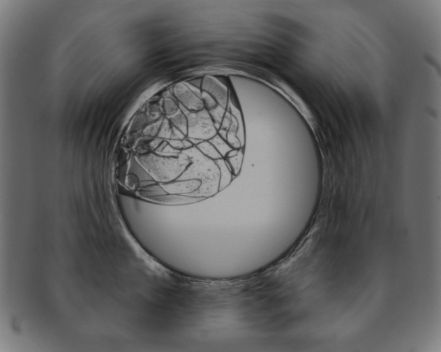 X0000092010909200709061306