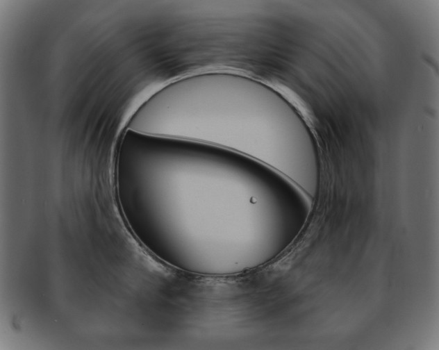 X0000092010910200709061306