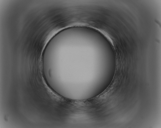 X0000092010911200709061306