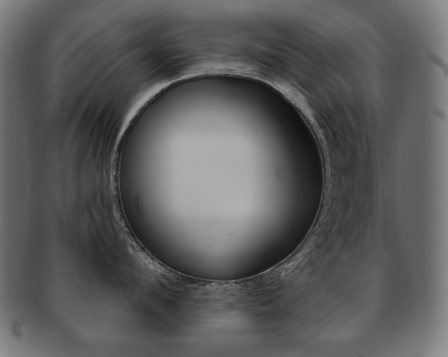 X0000092010912200709061306