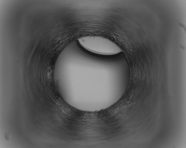X0000092010914200709061306