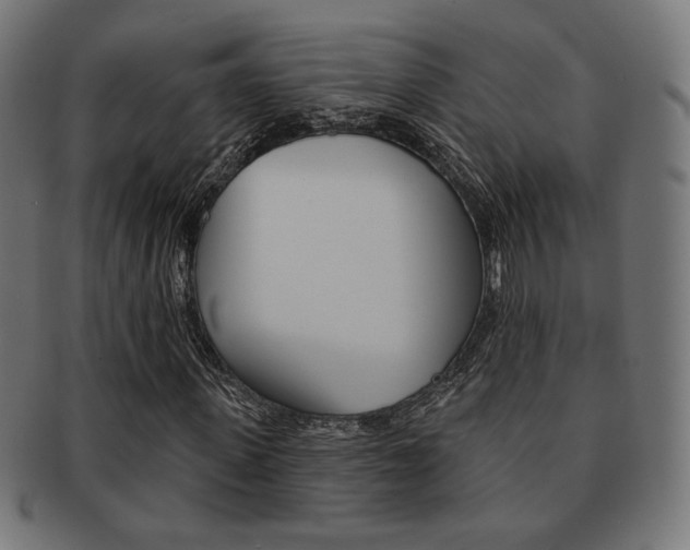 X0000092010915200709061306