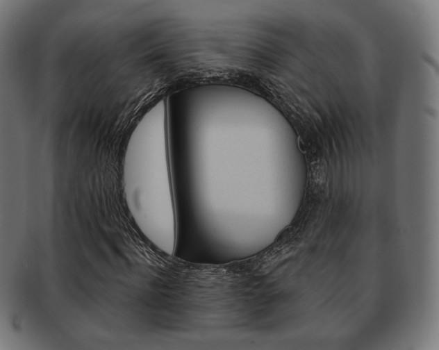 X0000092010916200709061306