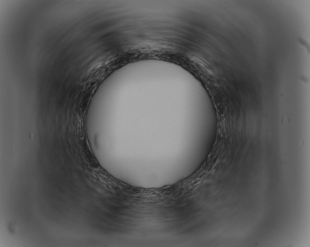 X0000092010917200709061306