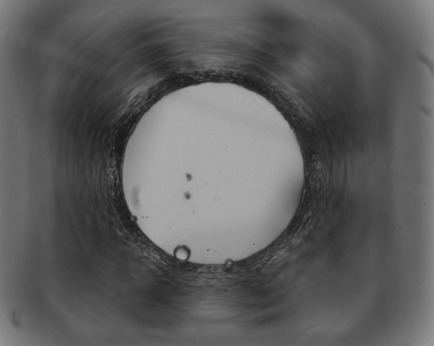 X0000092010918200709061306