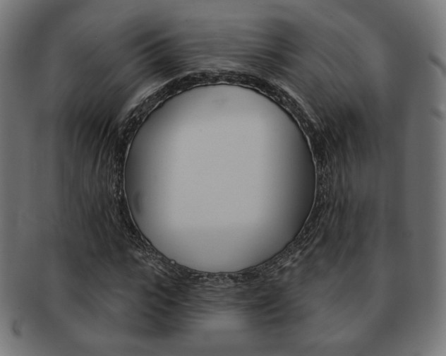 X0000092010919200709061306