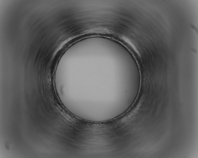 X0000092010923200709061306