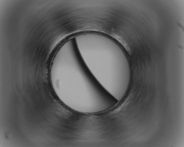 X0000092010926200709061306