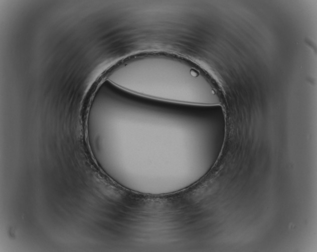 X0000092010927200709061306