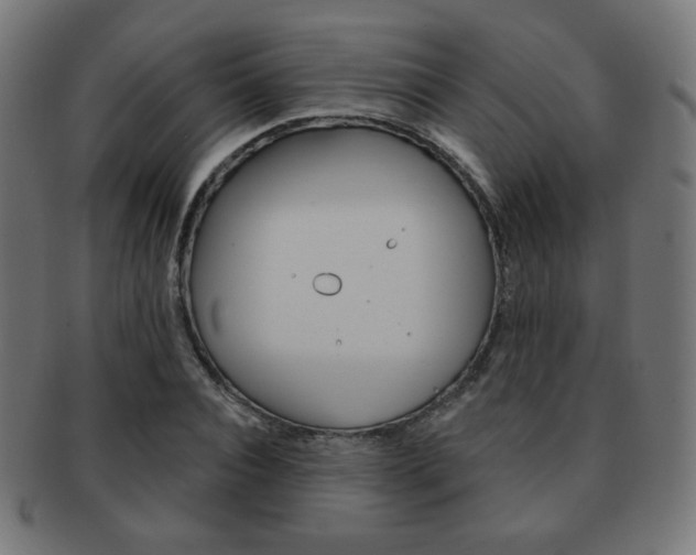 X0000092010928200709061306