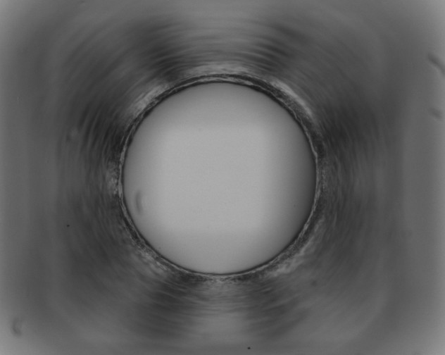 X0000092010929200709061306