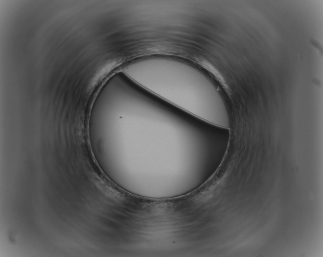X0000092010930200709061306