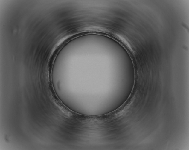 X0000092010931200709061306
