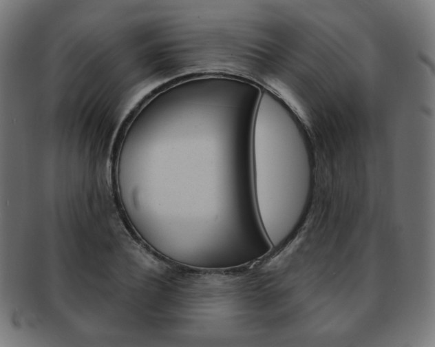 X0000092010932200709061306
