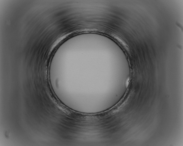 X0000092010933200709061306