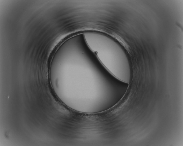 X0000092010934200709061306