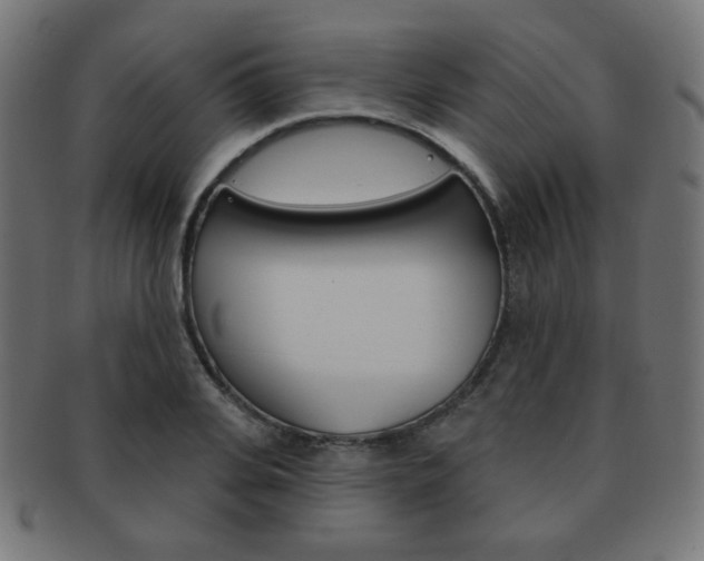 X0000092010935200709061306