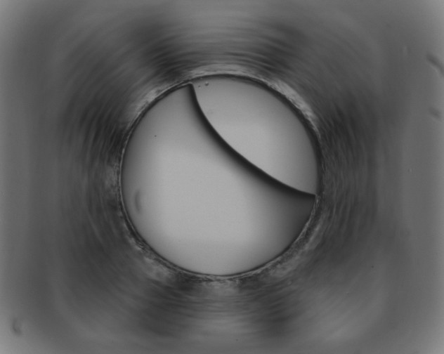X0000092010937200709061306