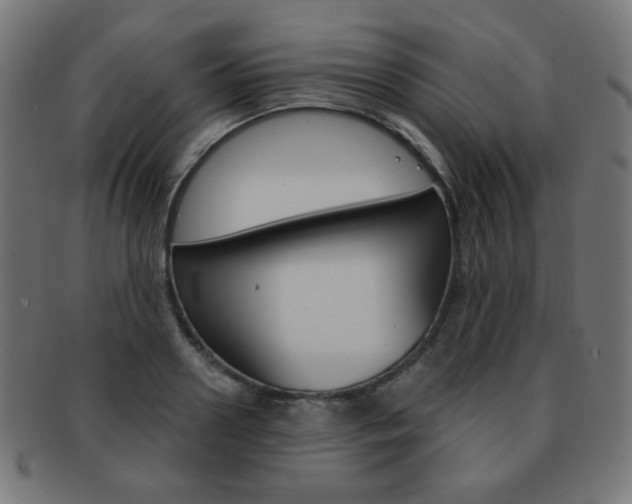 X0000092010938200709061306