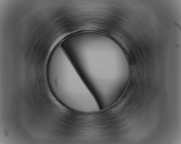 X0000092010939200709061306