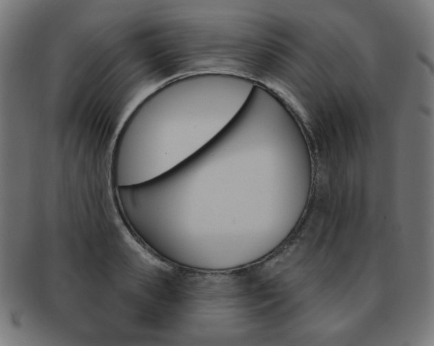 X0000092010941200709061306