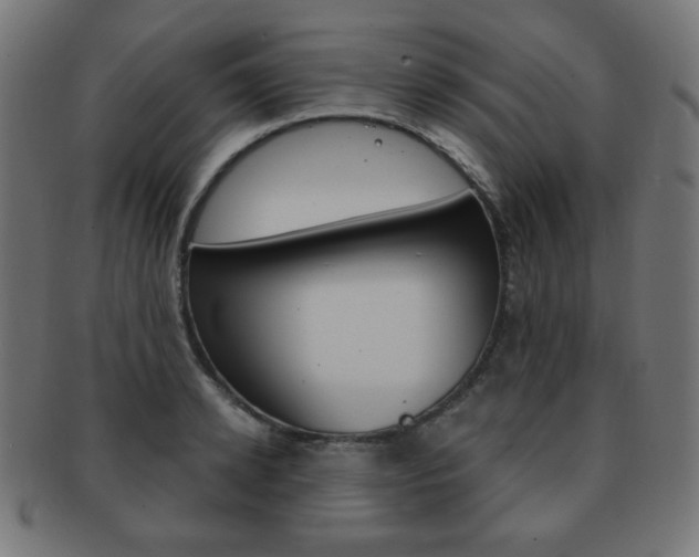 X0000092010942200709061306