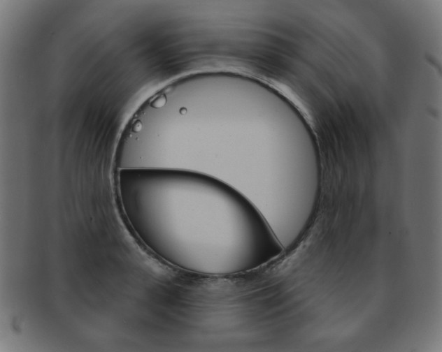 X0000092010943200709061306