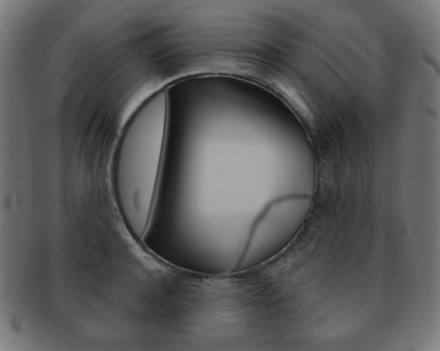 X0000092010944200709061306