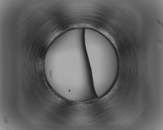 X0000092010945200709061306