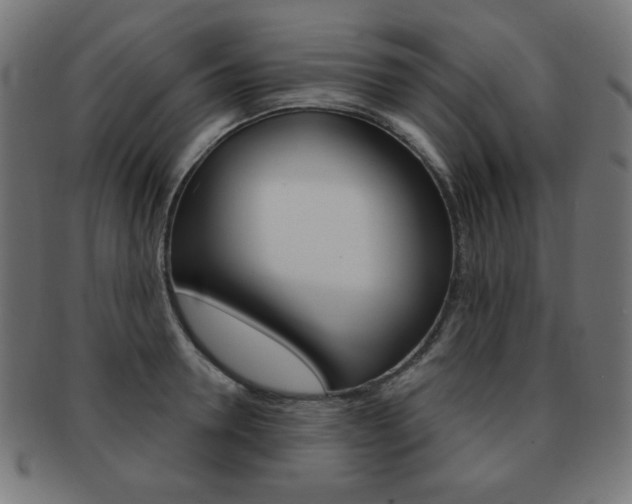 X0000092010946200709061306